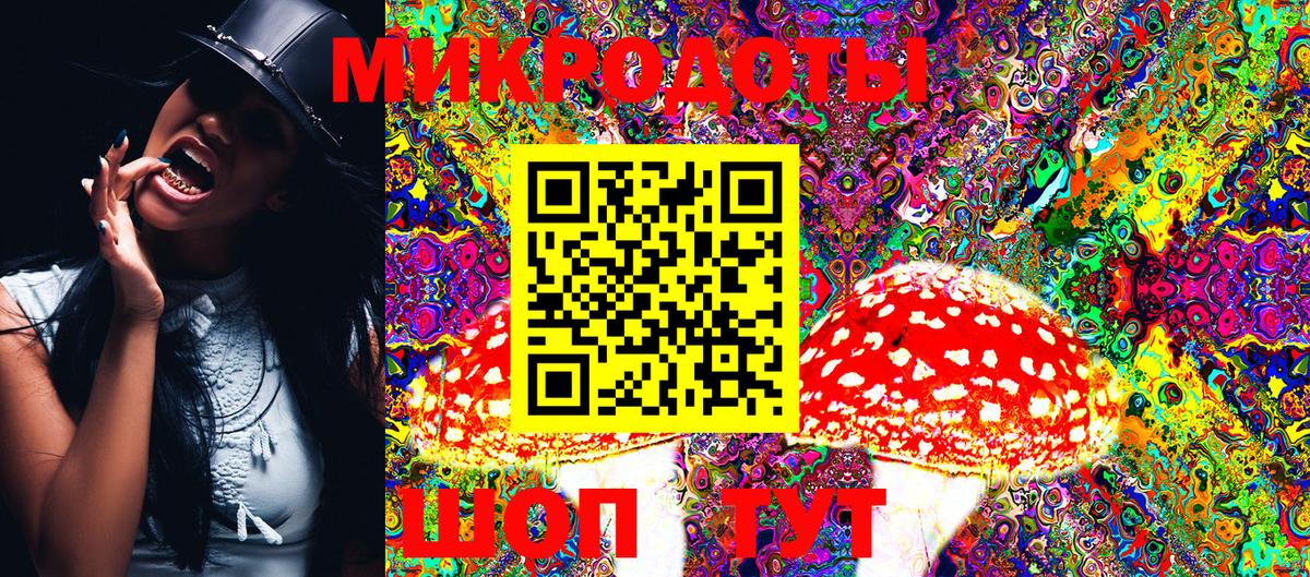 Галлюциногенные грибы Cubensis  Вход с VPN  Псилоцибиновые грибы Cubensis  Элиста 